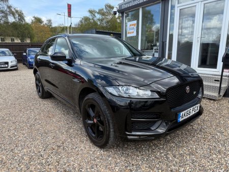 JAGUAR